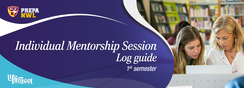 Individual Mentorship Session: Log guide - Corregidora IM-S1-Cor-001