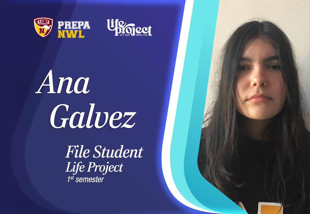 Portafolio LifeProject Portafolio